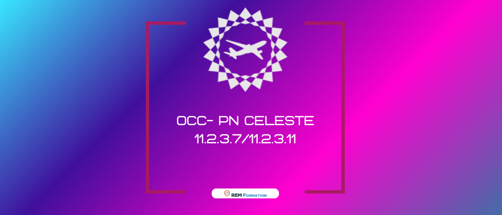 OCC 2024- Formation Sûreté PN CELESTE -11.2.3.7/11.2.3.11 du Regl. EU2015/1998: Mesures de sûreté en vol - Protection aéronef / Mesures de sûreté en vol