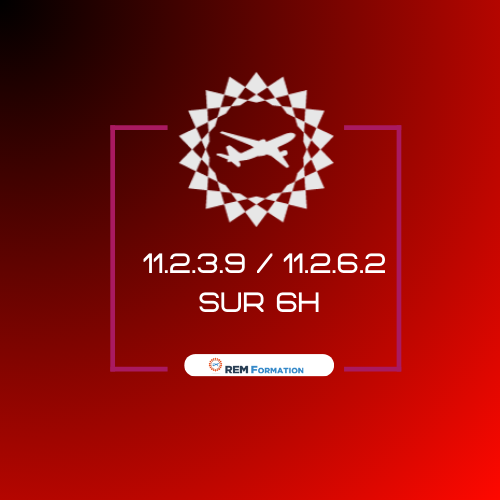 11.2.3.9 + Compl. 11.2.6.2 Regl. EU2015/1998: Formation des personnes ayant un accès non surveillé au fret et courrier aérien identifiables et/ou qui effectuent sur le fret et les envois postaux des contrôles de sûreté autre que l'IF + Partie TCA