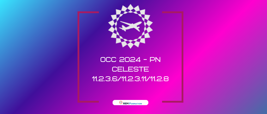 OCC 2024- Formation Sûreté PN CELESTE -§11.2.3.6/§11.2.3.11/11.2.8. du Regl. EU2015/1998: Mesures de sûreté en vol - Fouille aéronef /Protection aéronef / Cyber-menaces