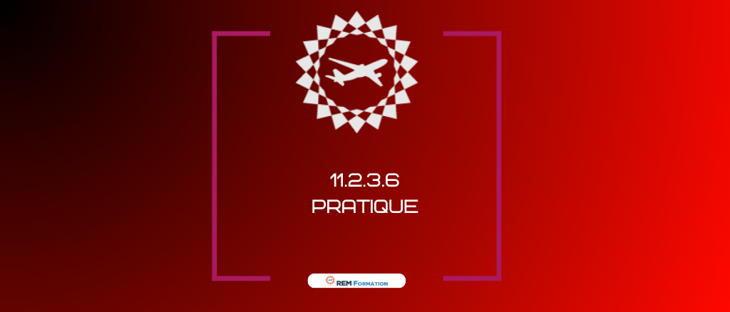 Formation Pratique 11.2.3.6.du Regl. EU2015/1998 : Formation Pratique des personnes en charge de la fouille de sûreté des aéronefs