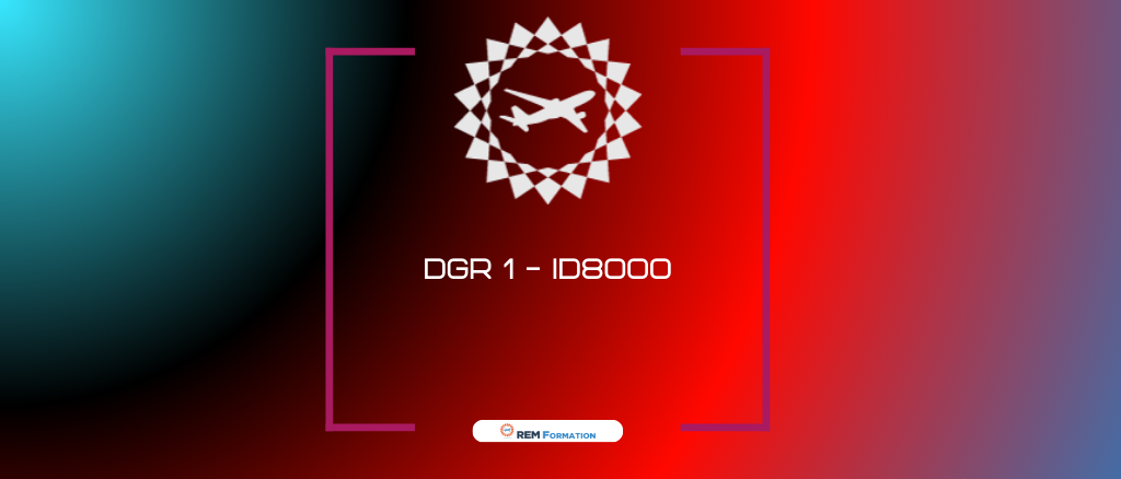 Marchandises Dangereuses - Cat.1 ID 8000Base OACI-IATA «Expéditeurs» Acheminement des marchandises dangereuses