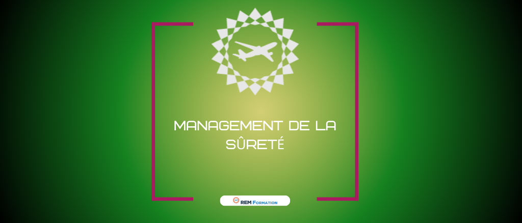 11.2.5 Management de la sûreté