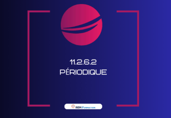 11.2.6.2 PERIODIQUE pour l'obtention du TCA dit badge aéroportuaire