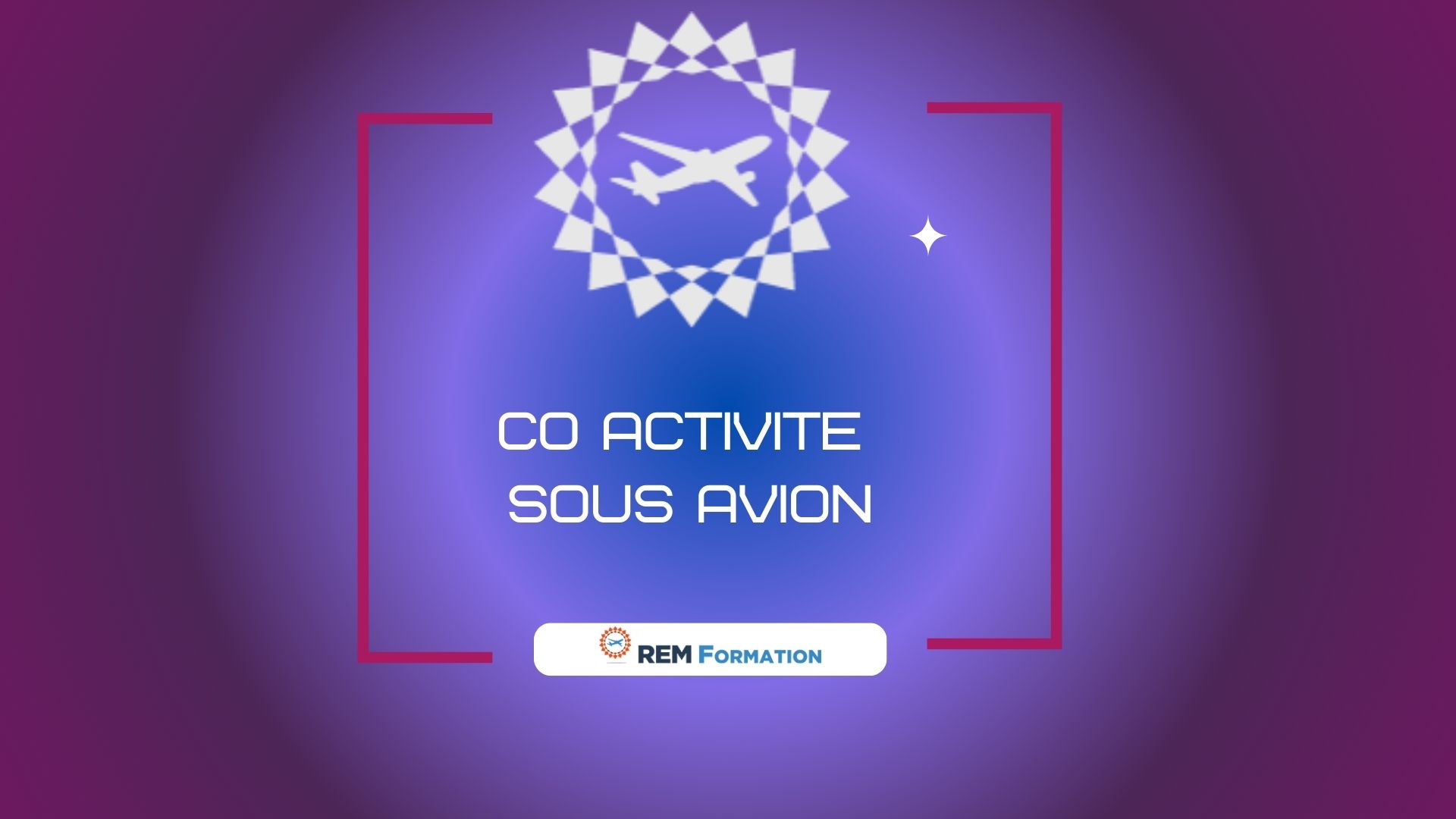 Co-activité