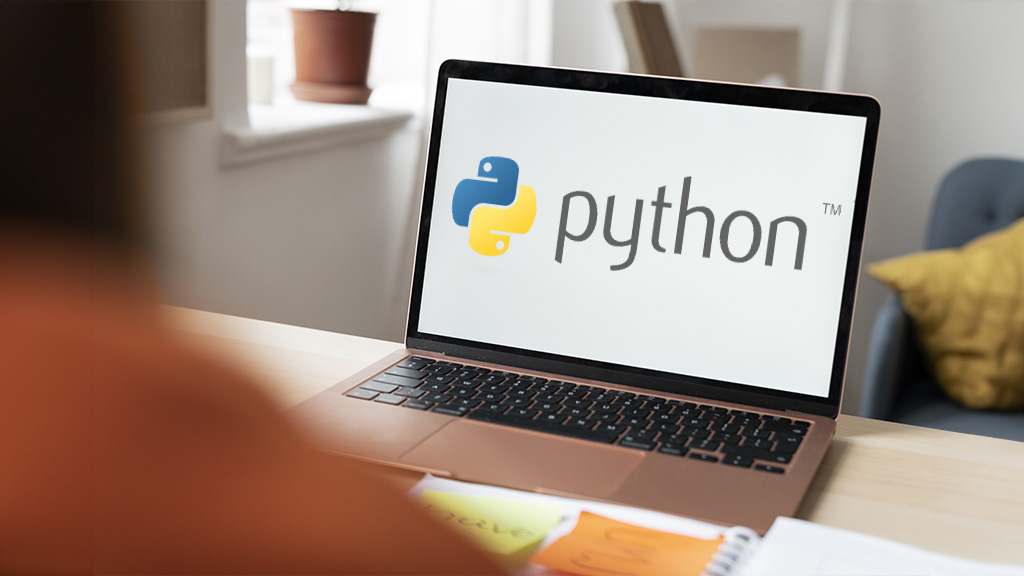Python Webservices