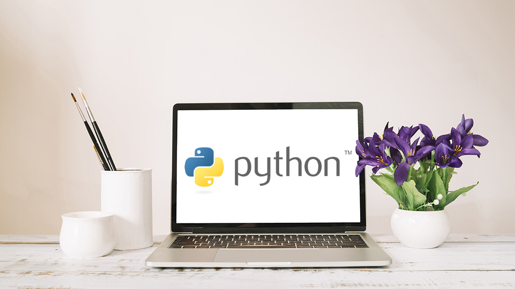 Big Data | Python pour l'analyse de données