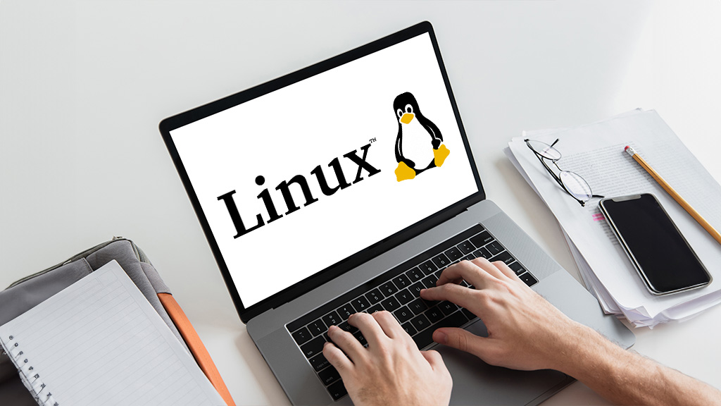 Linux lignes de commandes : les bases